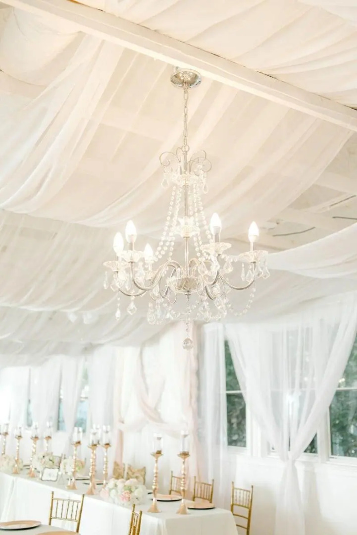 Georgia Palms & Gardens