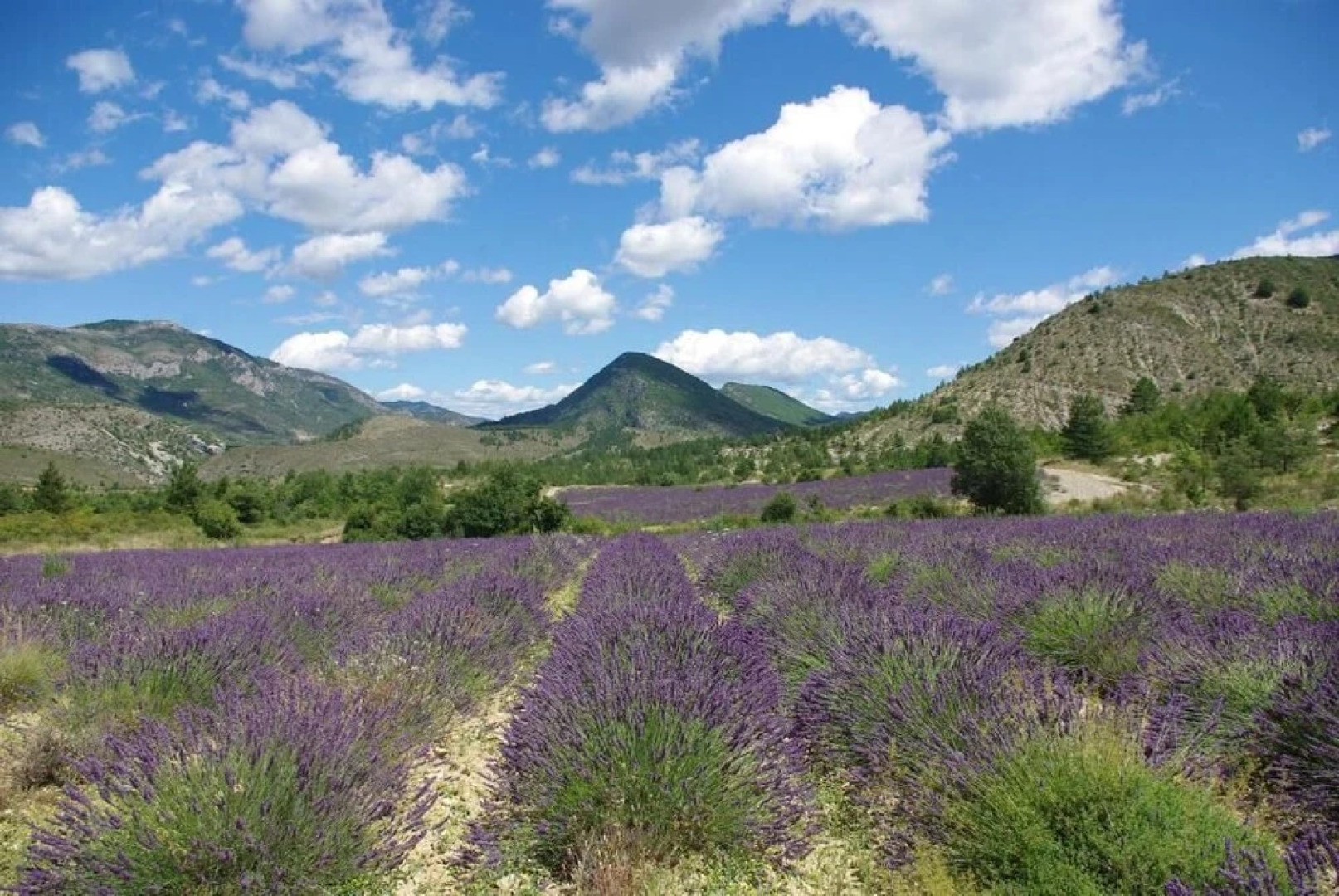 Le Moulin de la Viorne