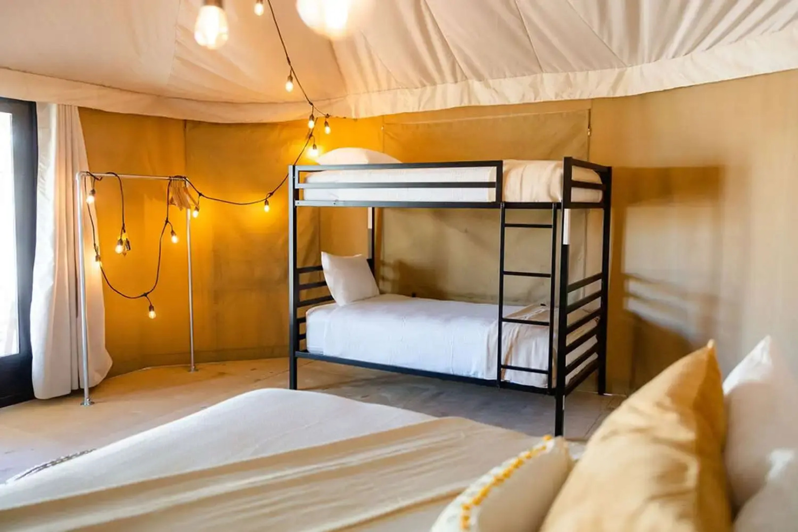 Zion Wildflower, BW Premier Collection