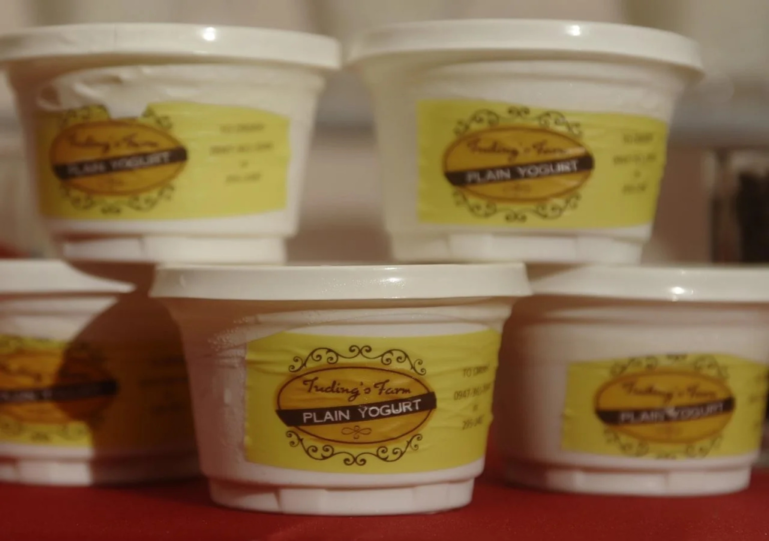 Bahay Ni Tuding Inn & Bistro