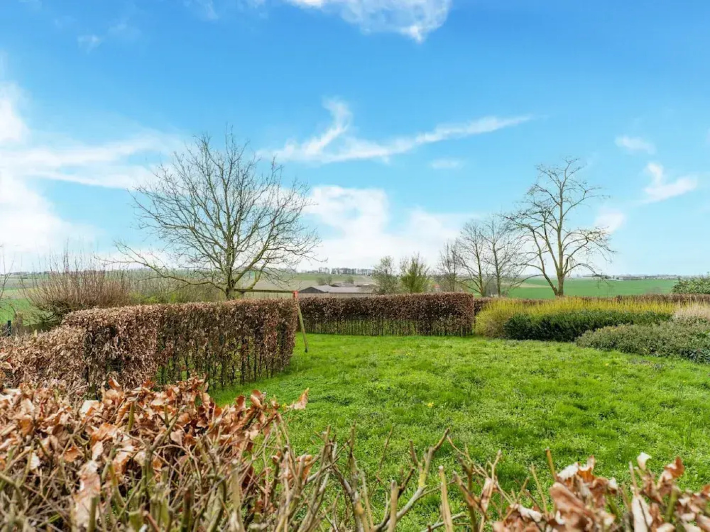 Pet-friendly Retreat