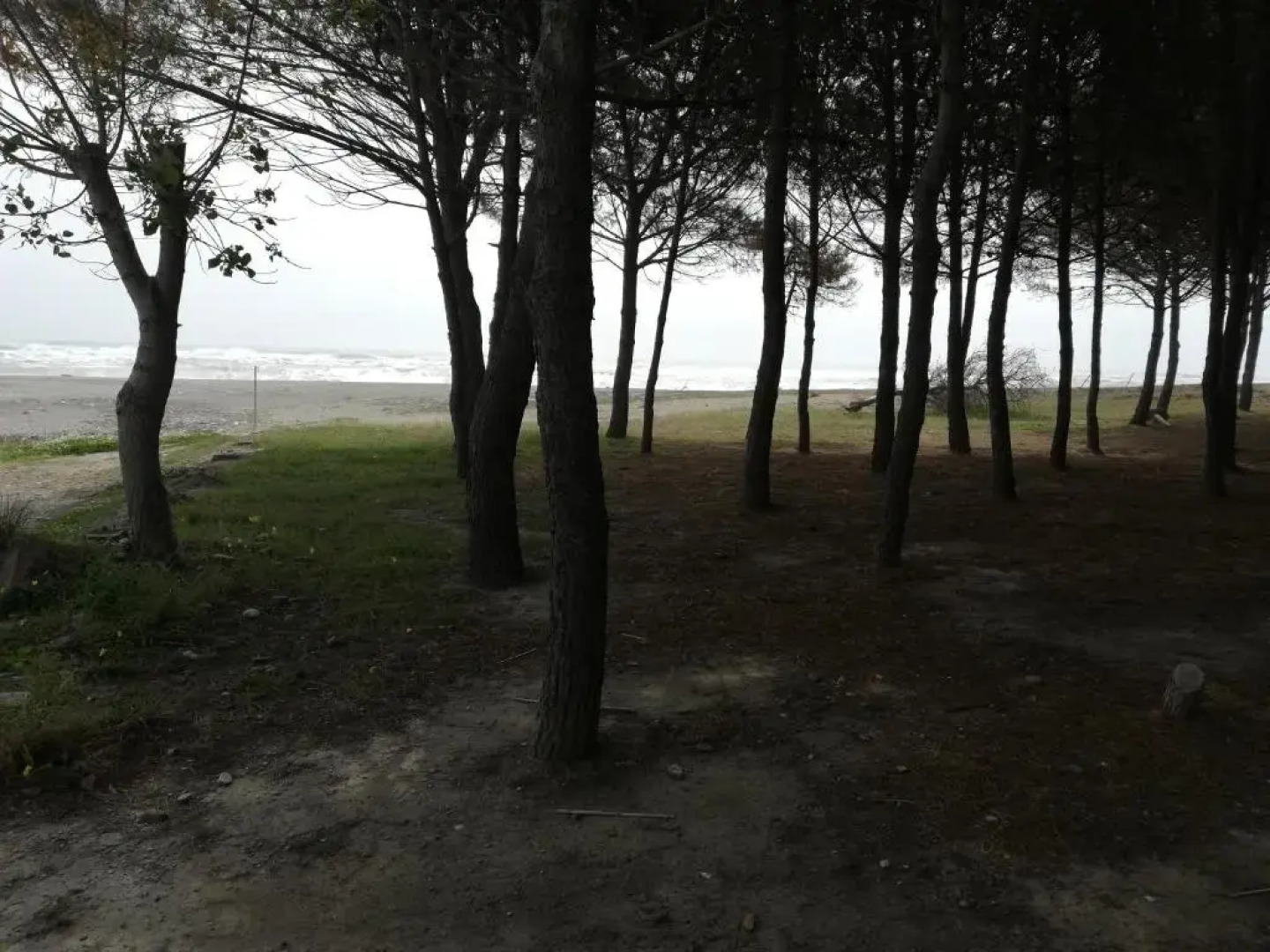 Residence Conchiglia