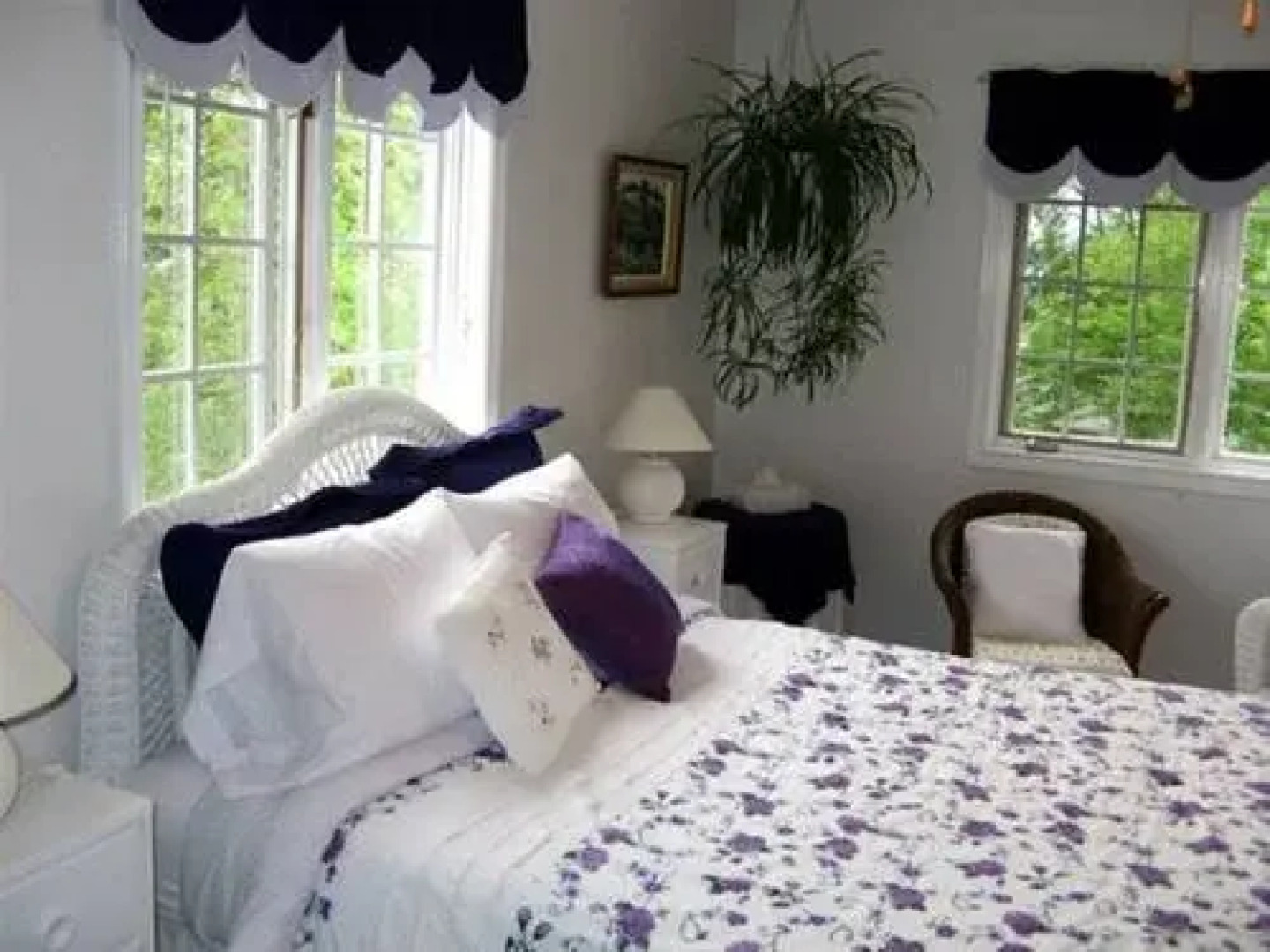 Braeside Court B&B