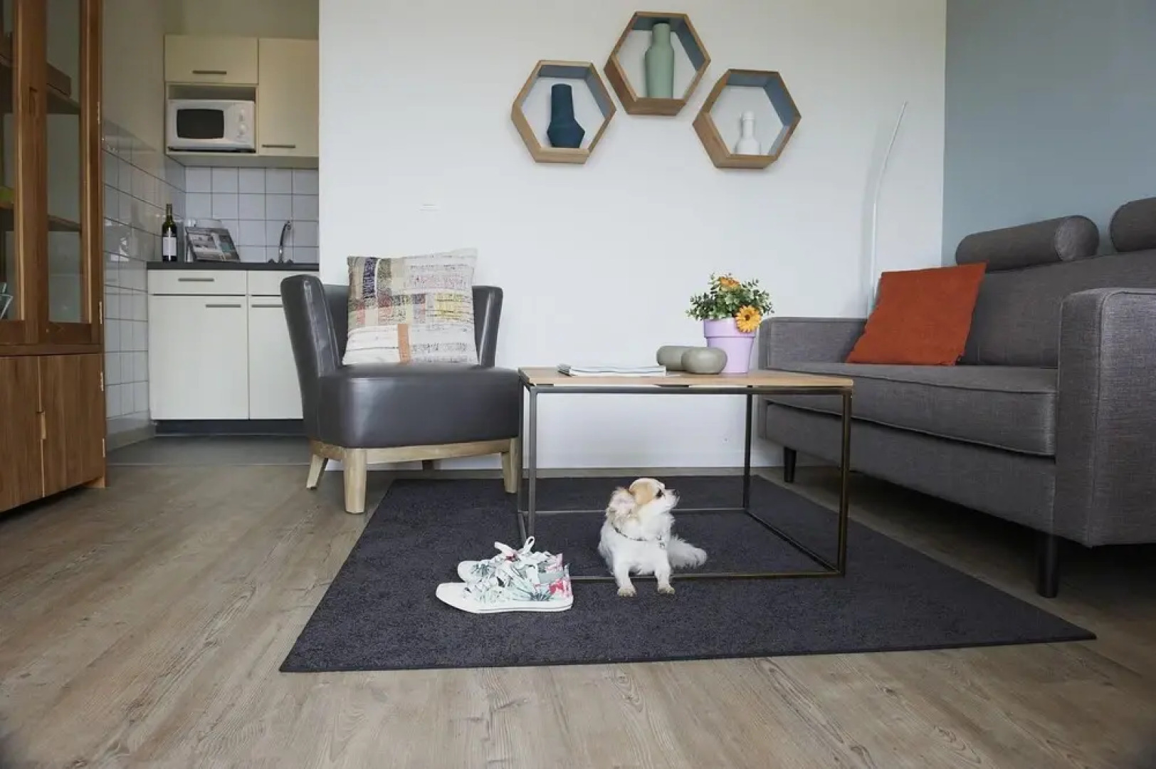 Sapini Re Type B In Wahlhausen