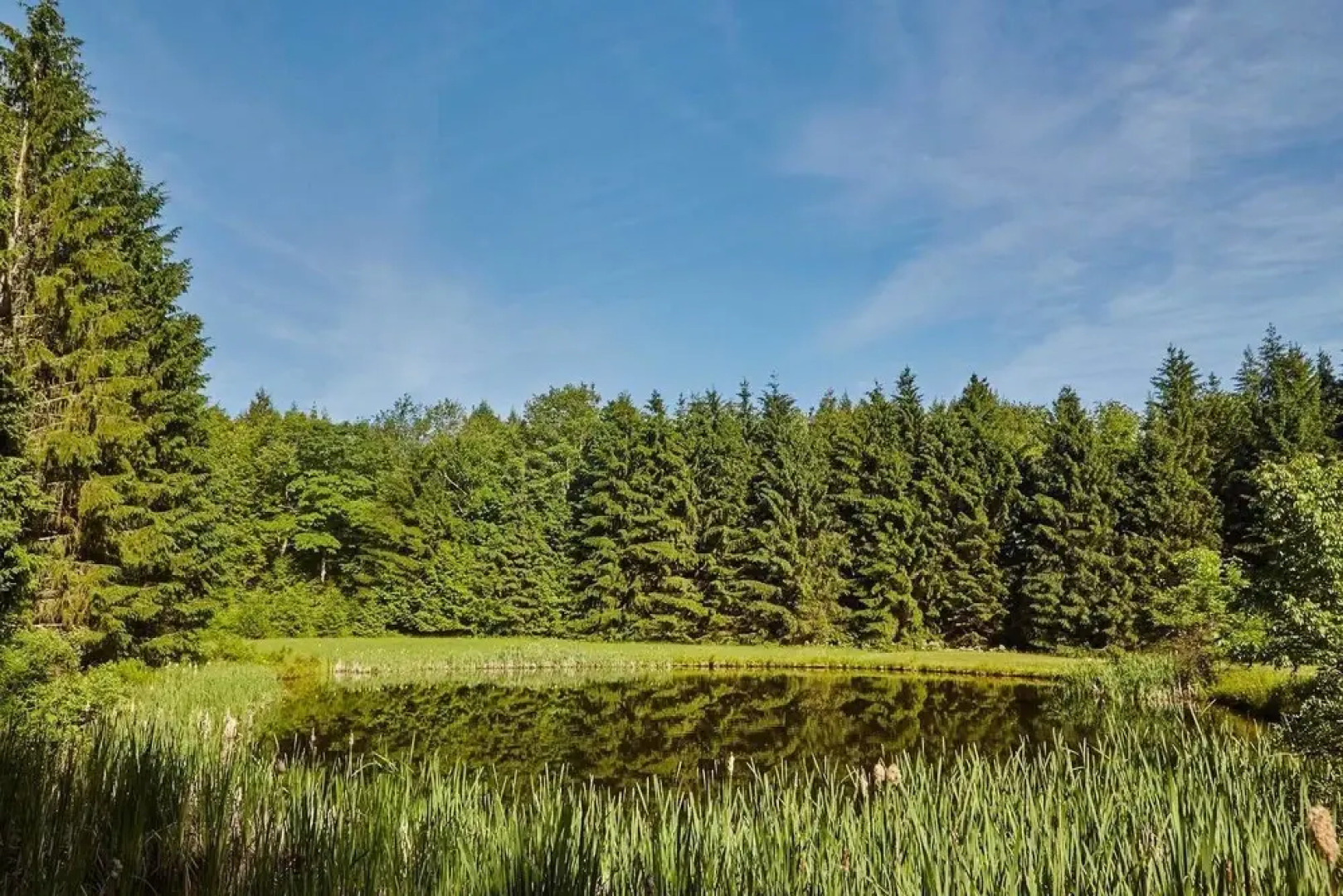 Tentrr - Davis Hollow Mountain Meadow