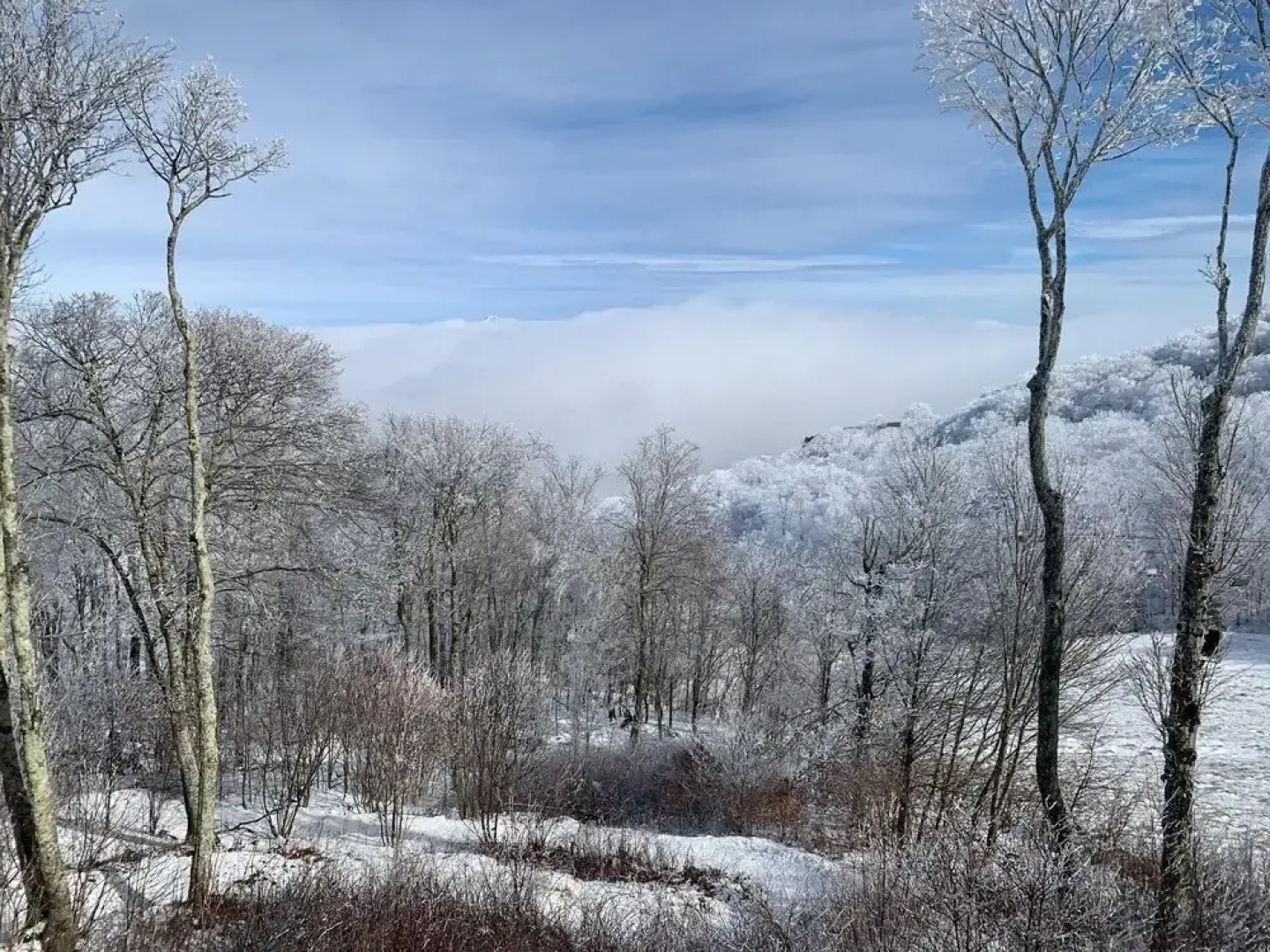 Sugar Ski & Country Club Unit 225 Silver