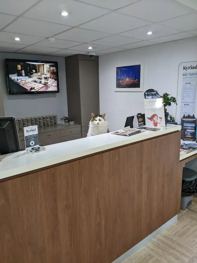 Kyriad Blois Sud-Vineuil