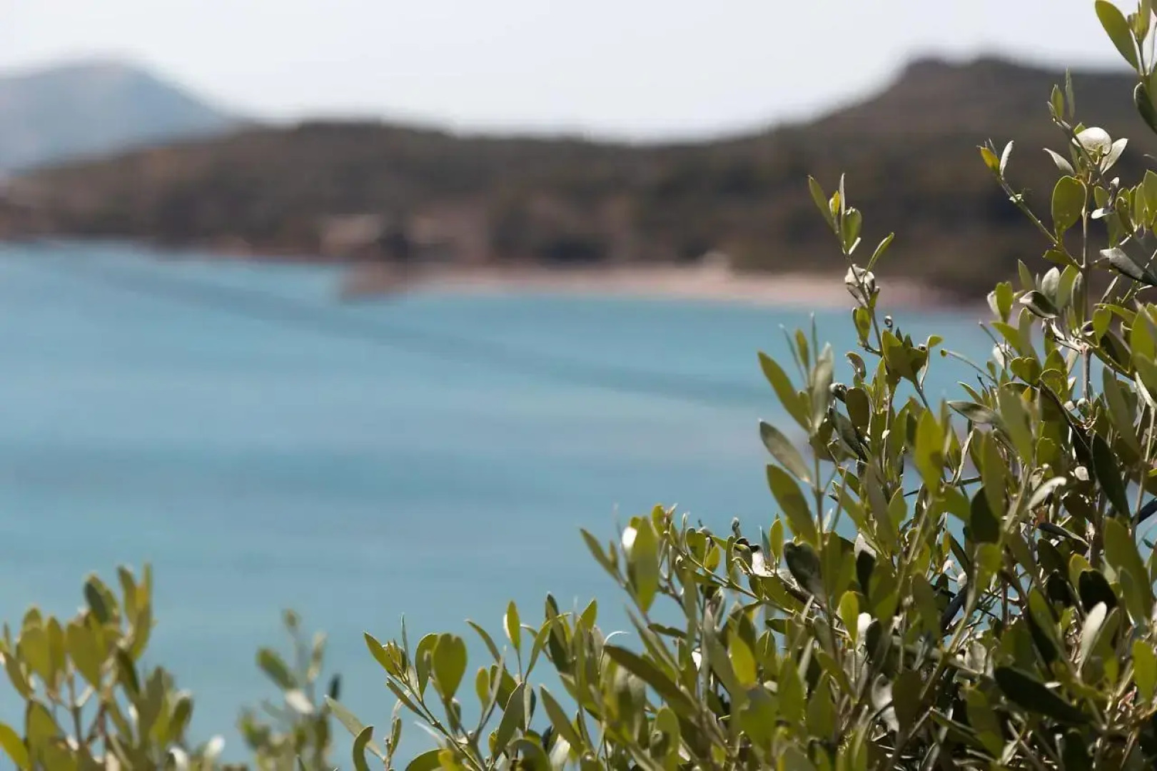 Poseidon Apartments & Villas By The Sea