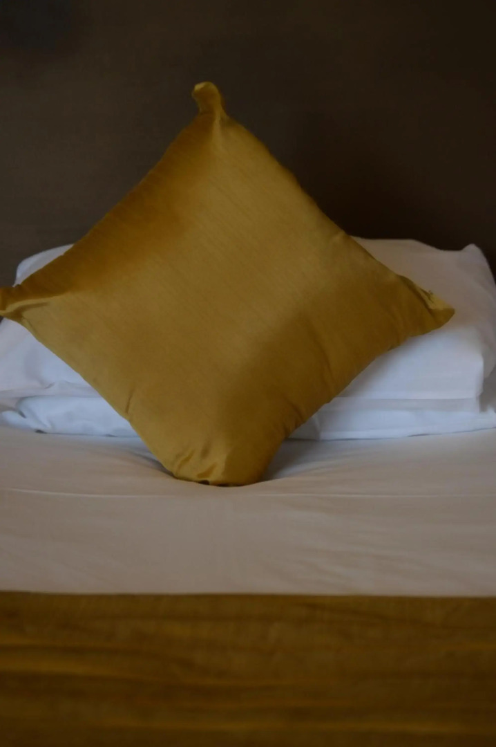 The Burlington Hotel