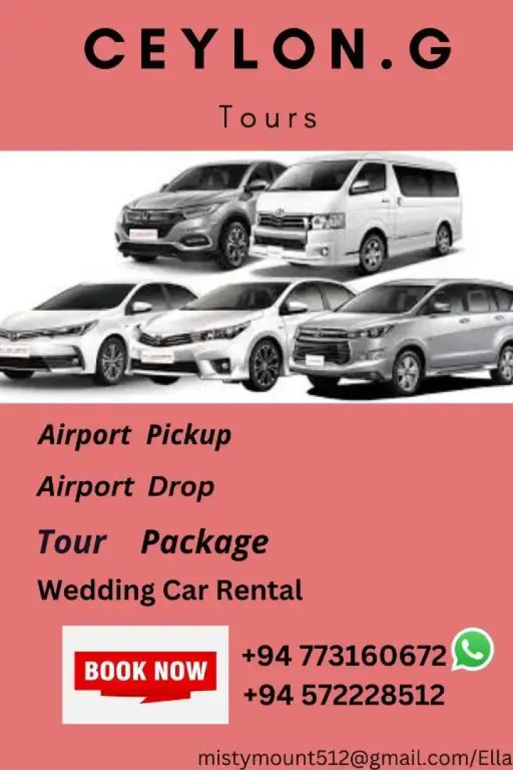 Misty Mount Homestay