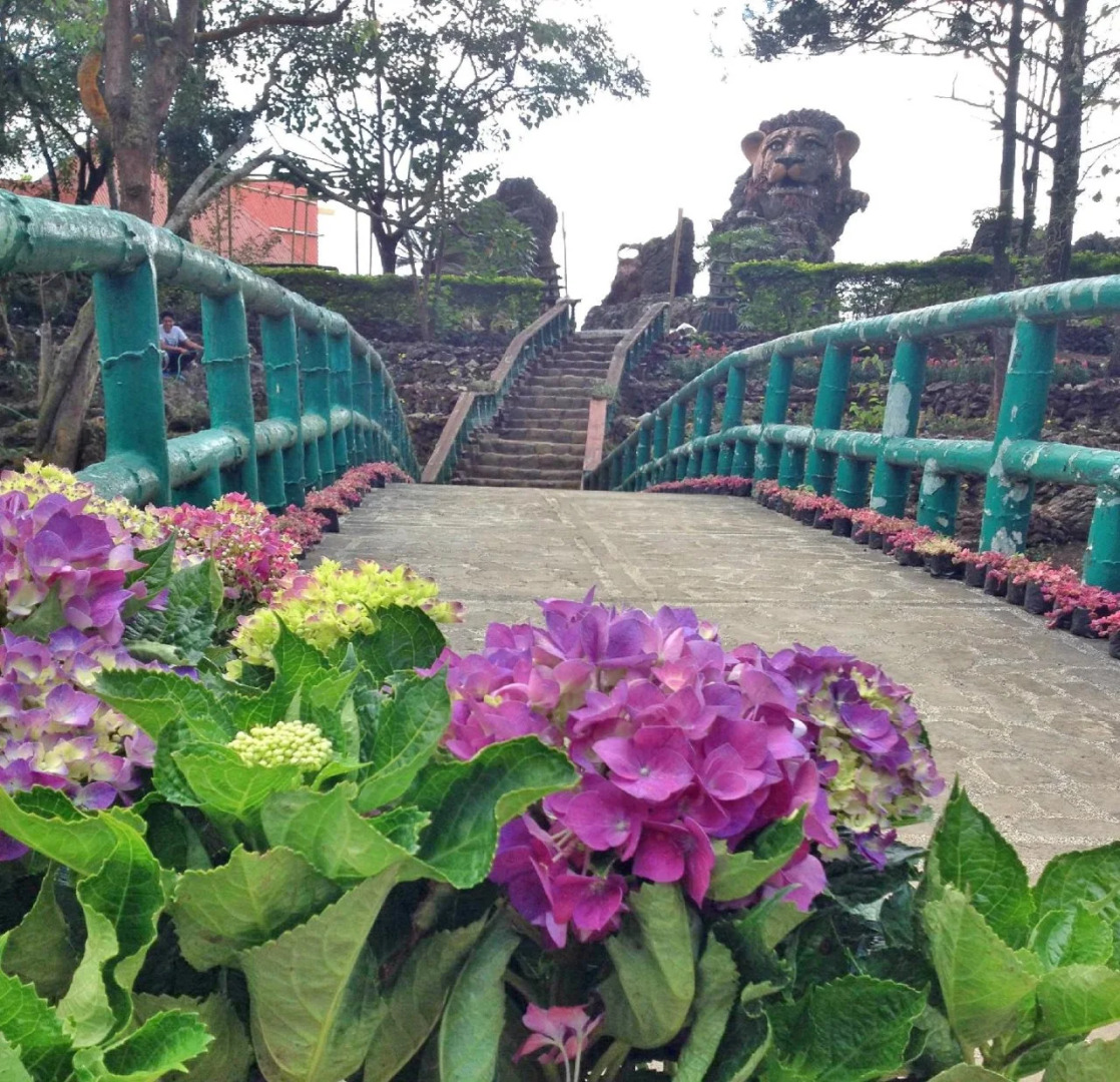 Skyland Garden Hotel And Resort