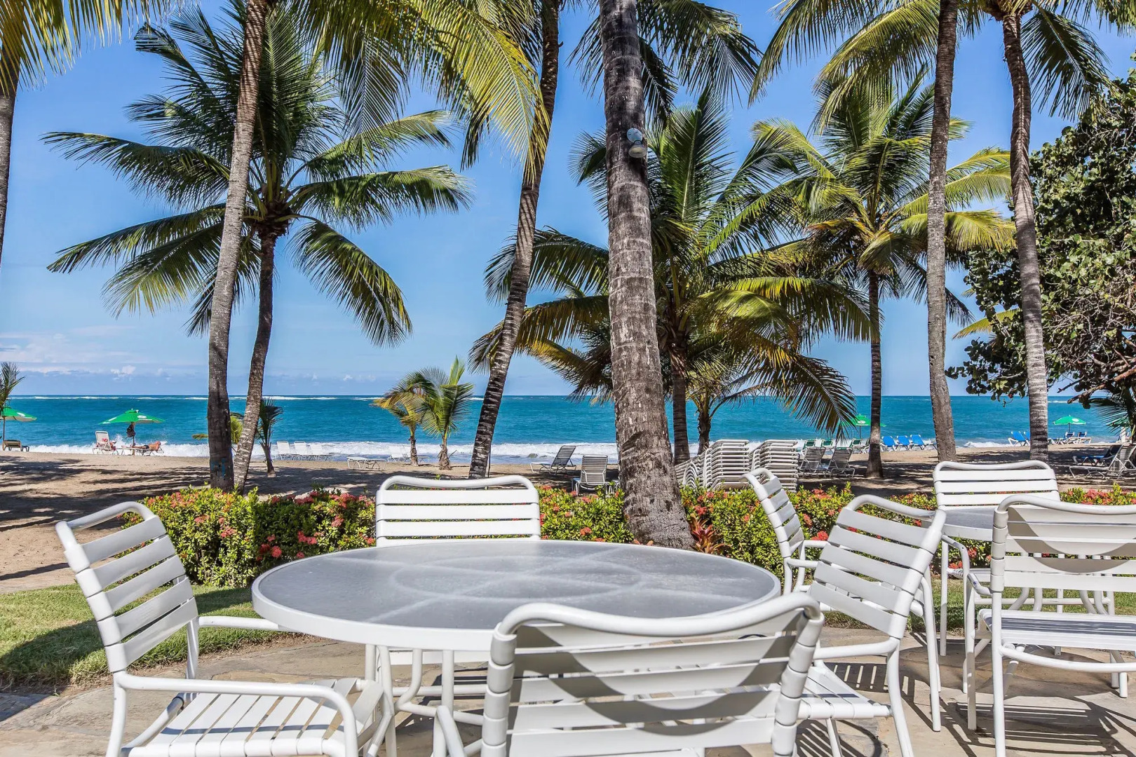 Cabarete Palm Beach Condos