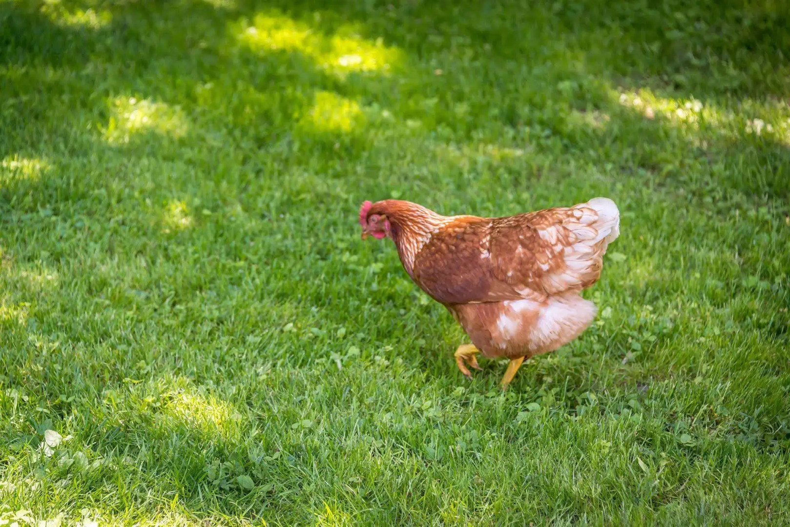 A La Villa Rivermead