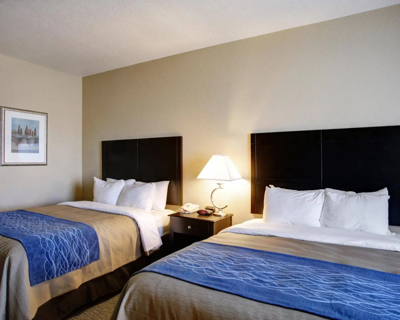 Spark by Hilton Selma