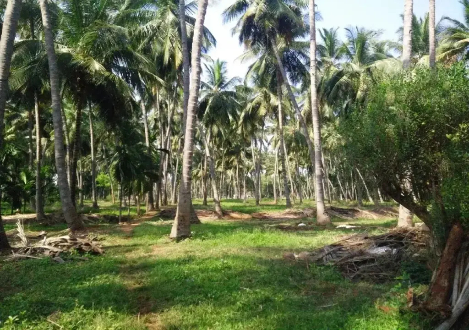 Cloud 9 Stays - Mettupalayam