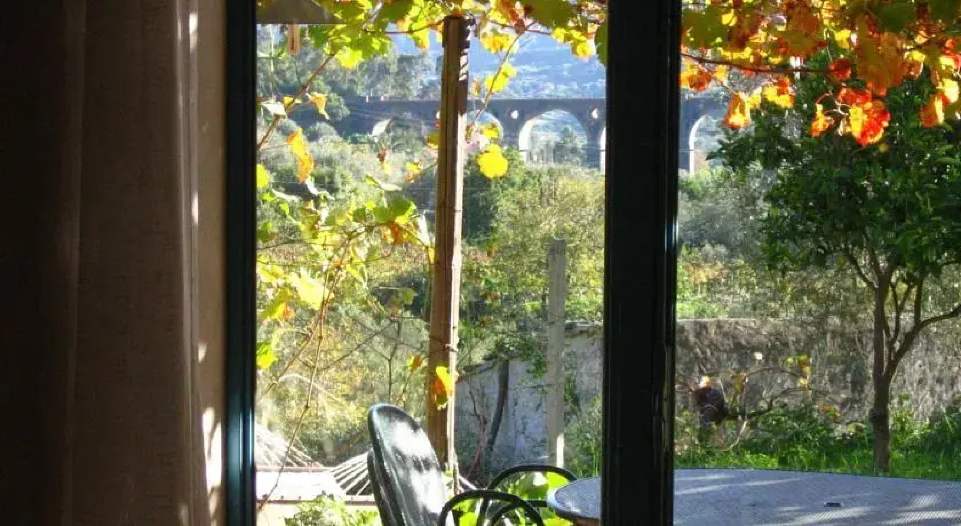 Casakiwi Contrada Meata