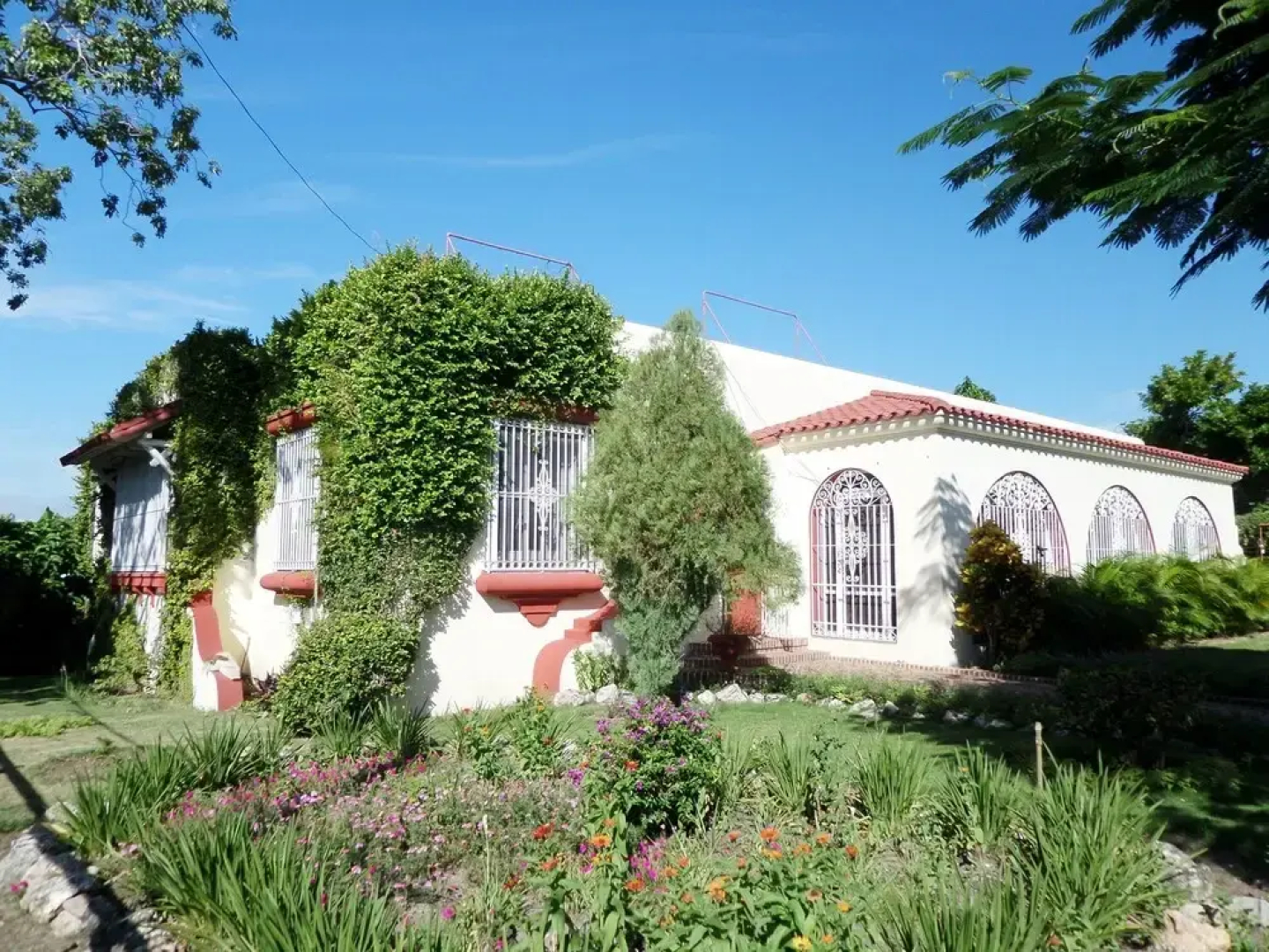 Hostal La Hiedra