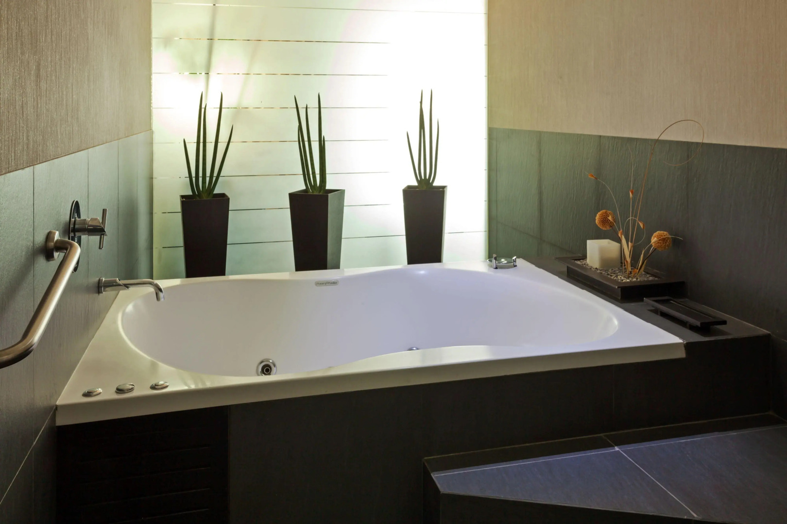 Crowne Plaza Toluca Lancaster by IHG