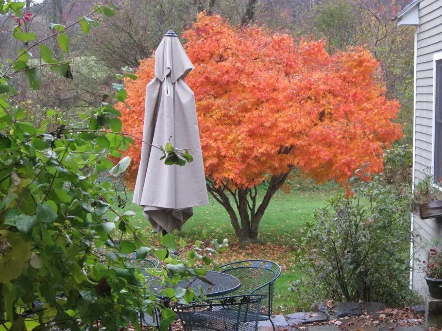 Ranney-Crawford House Bed and Breakfast