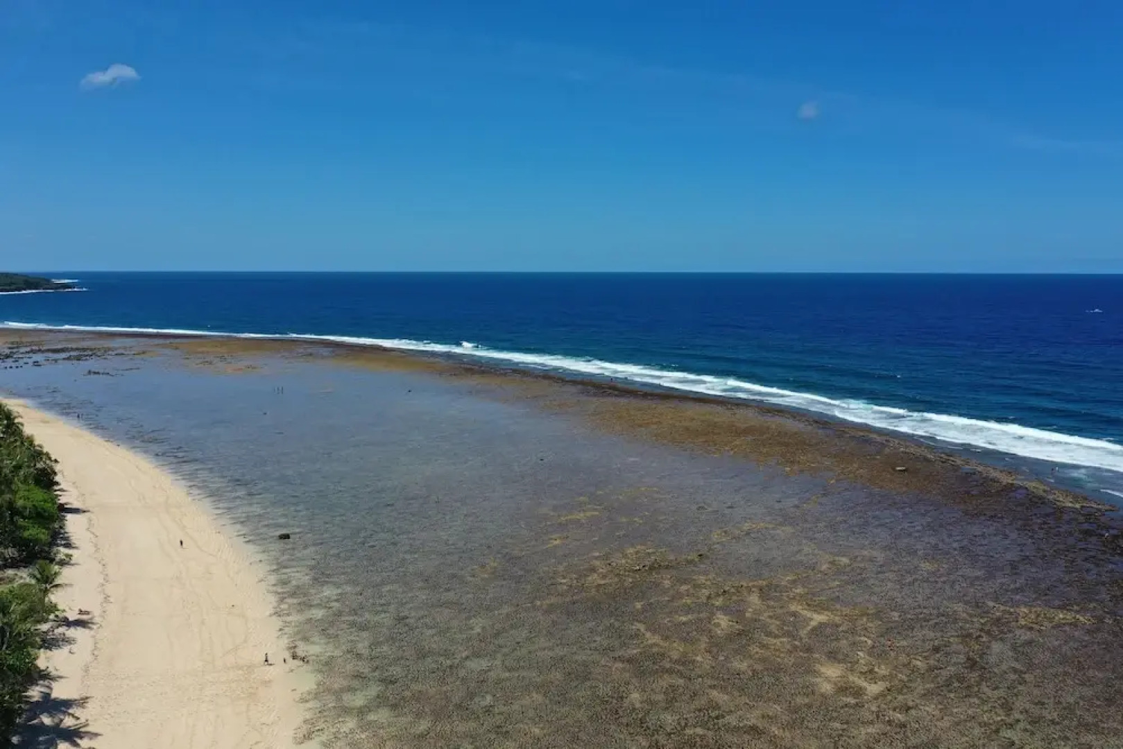 Calypso Surf and Dive
