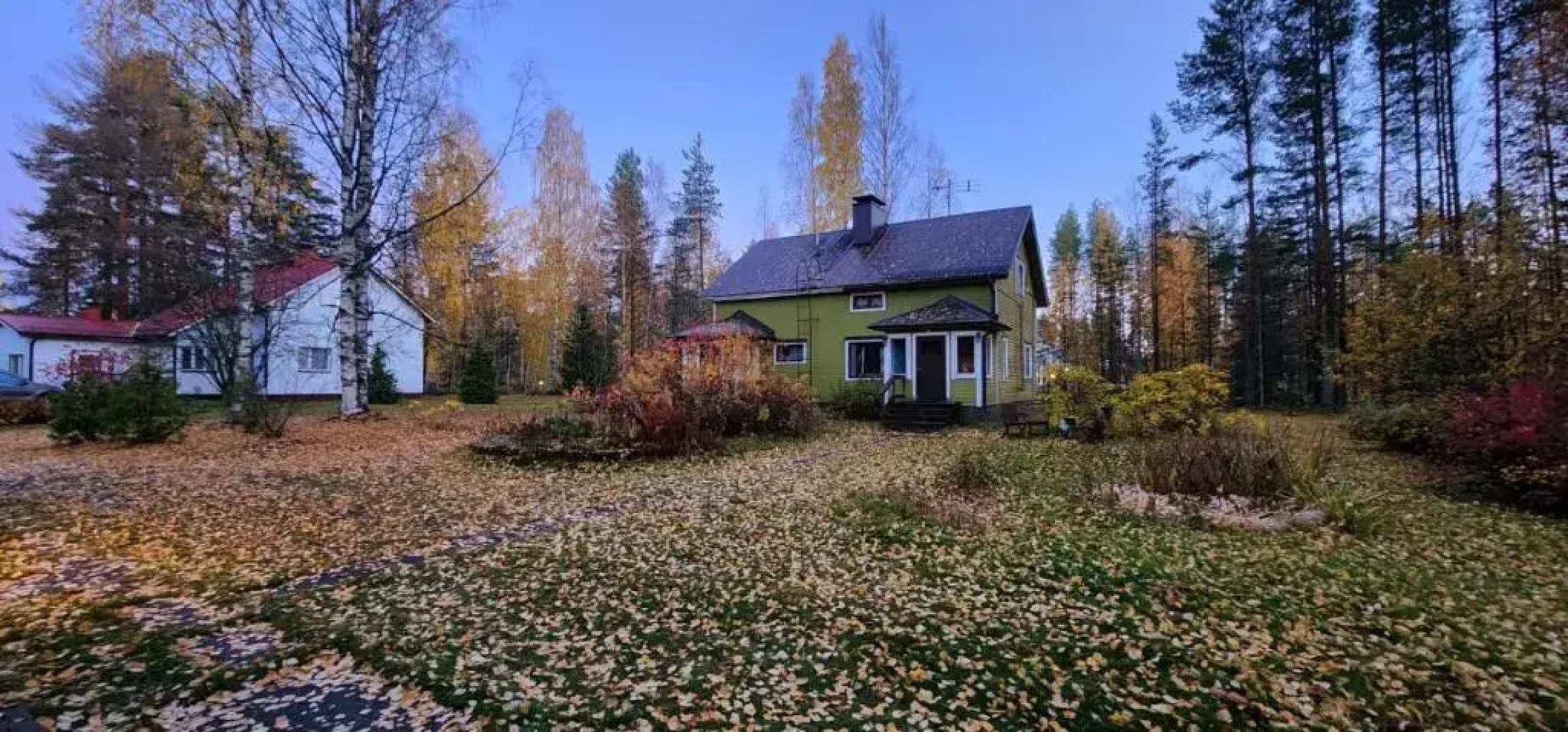Mäkiharju guesthouse - Adorable 1-bedroom place with a sauna