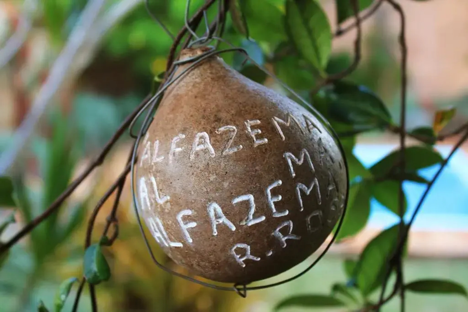 Tiô Isolda Artes & Hospedaria