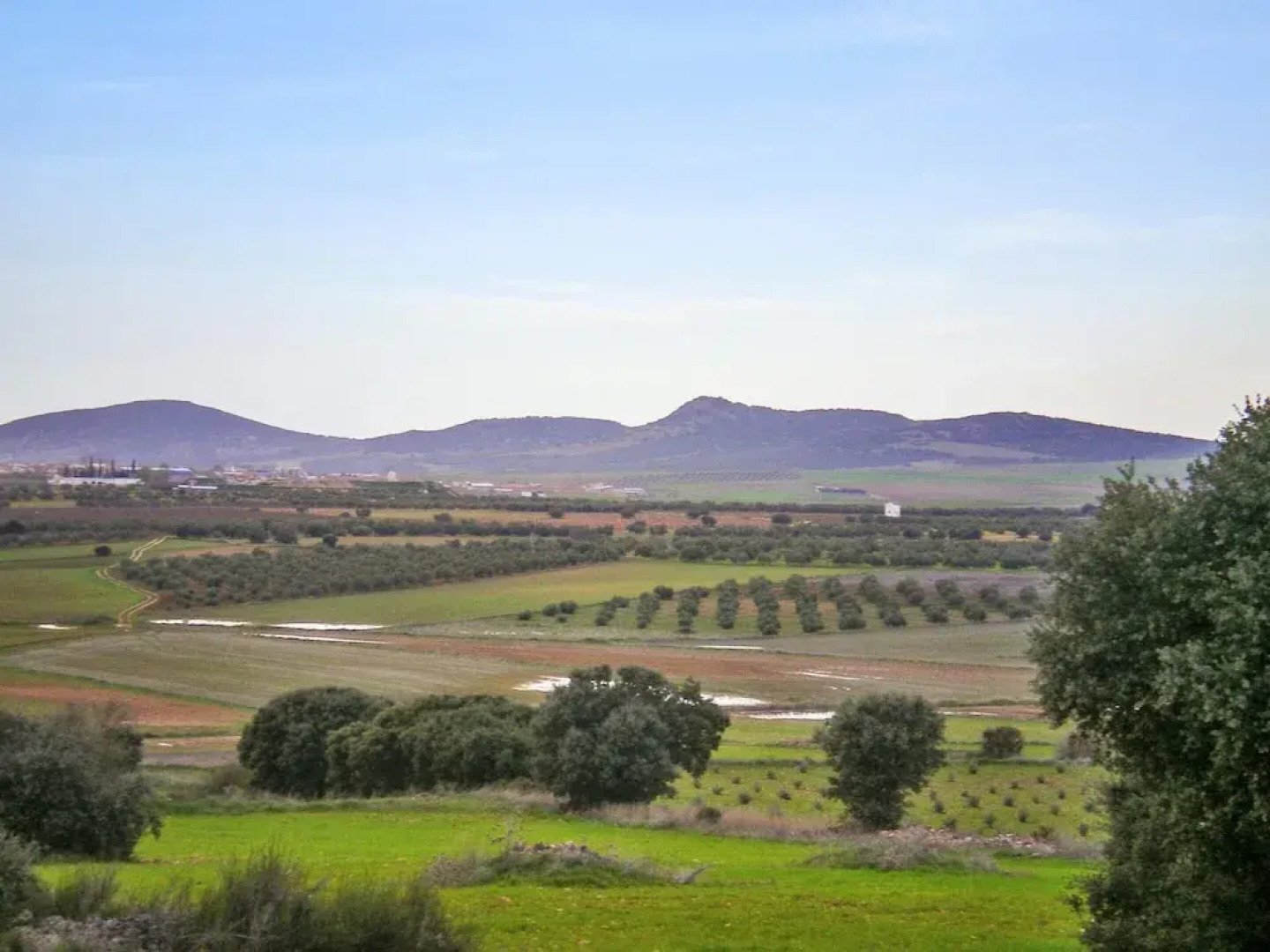 House With 4 Bedrooms in Castellar de Santiago, With Furnished Terrace