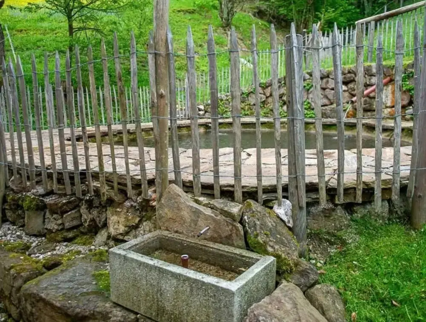 Infanglalm "traunsee"