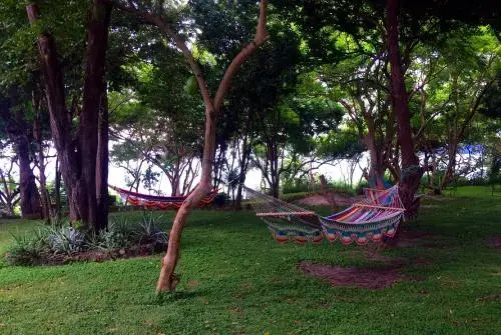 Xalli Beach Hotel