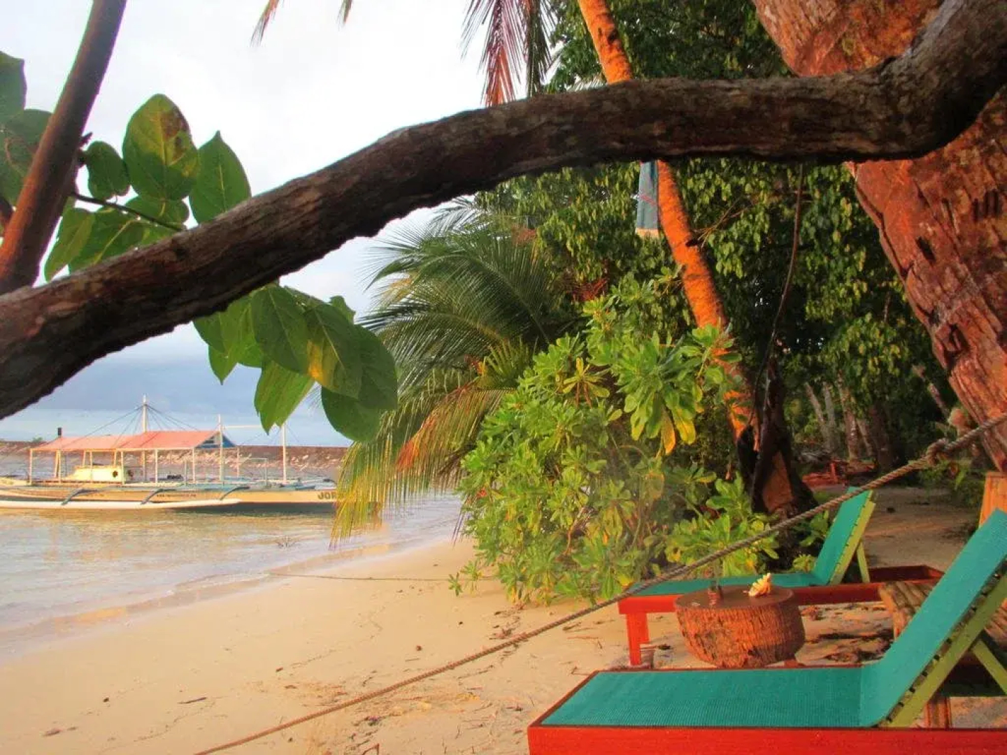 Siargao Divers Club