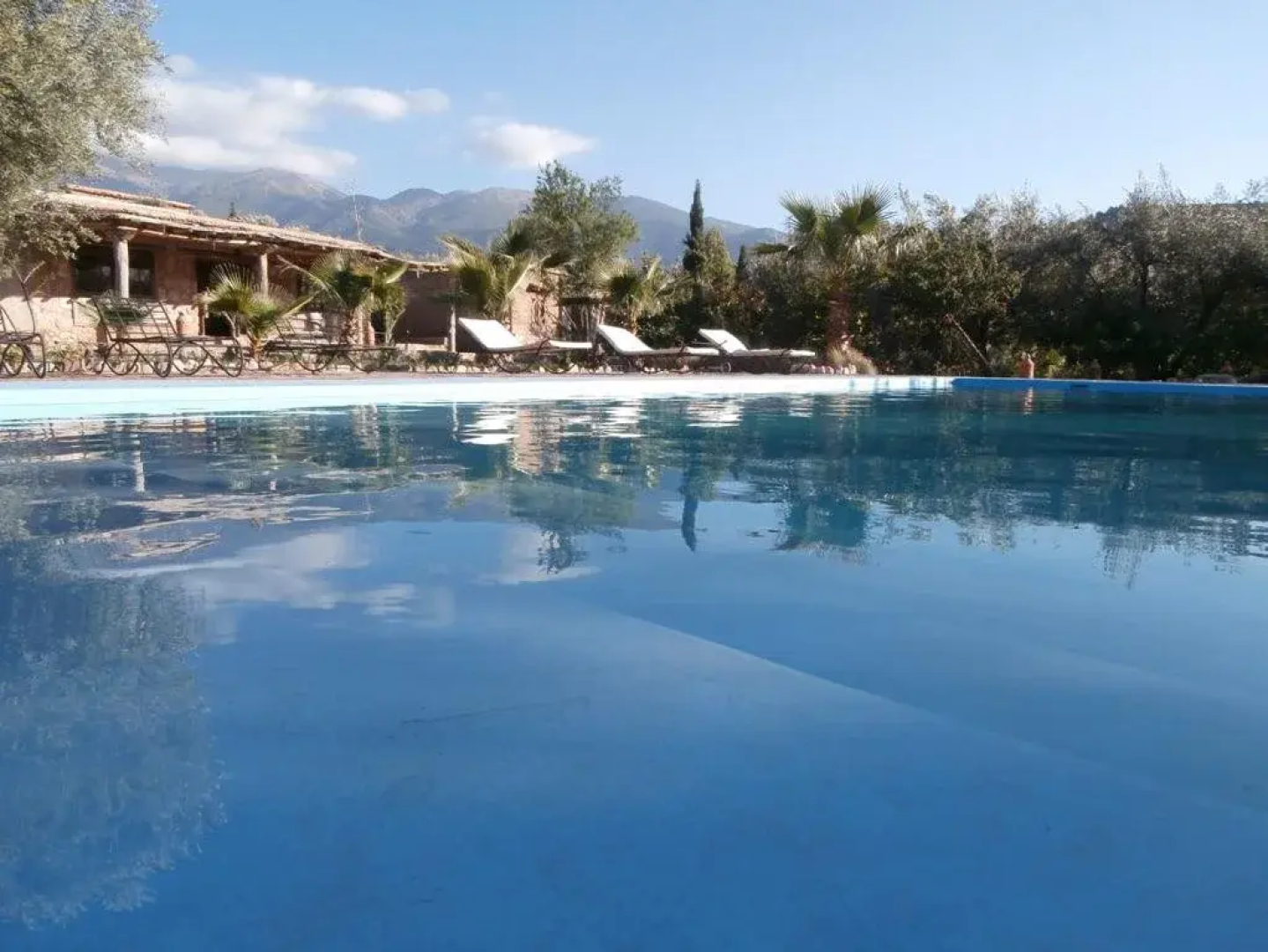 Marrakech Atlas Garden