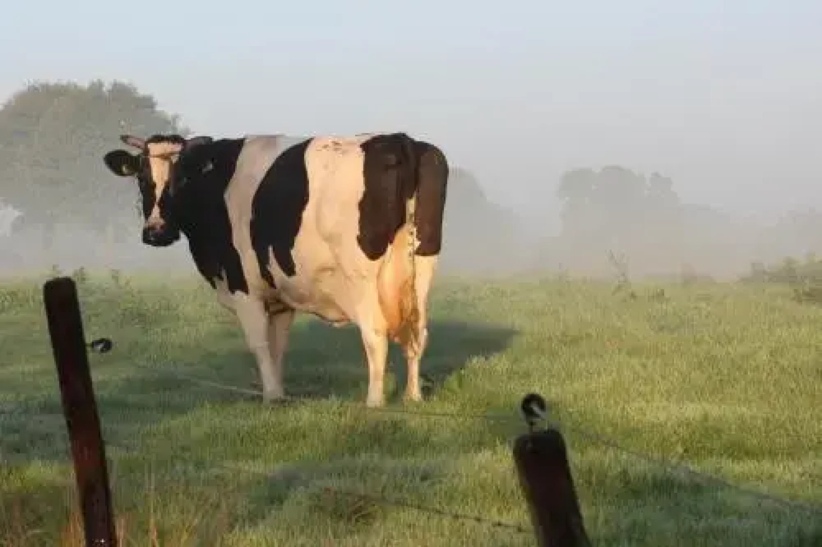 Ruigenhof Bed & Breakfast