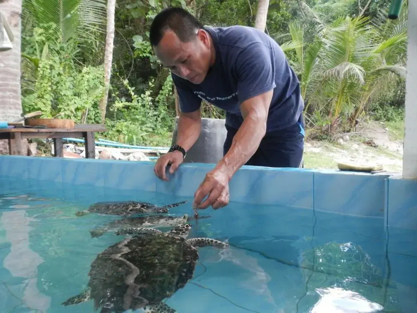 Koh Talu Island Resort