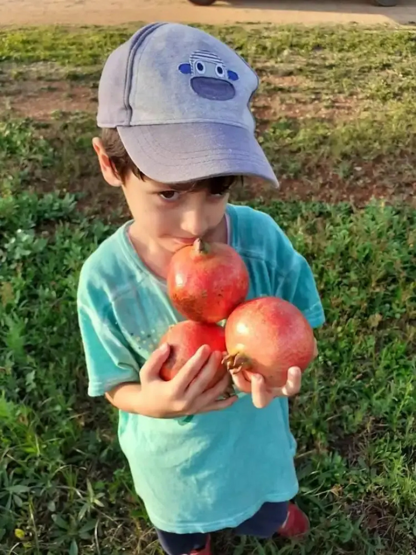 Agriturismo Masseria Galatea
