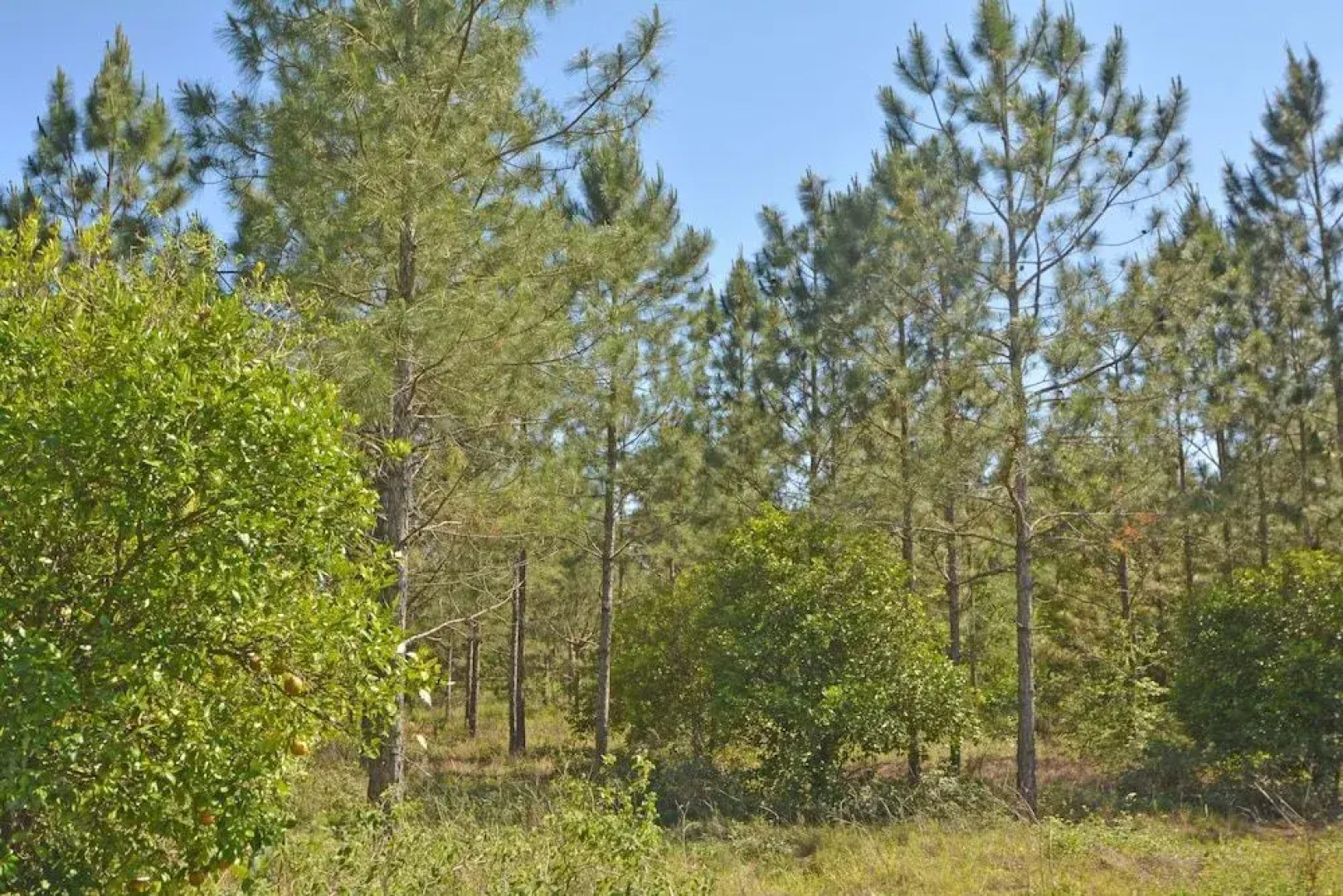 454HC Four Winds 4 Br villa by RedAwning