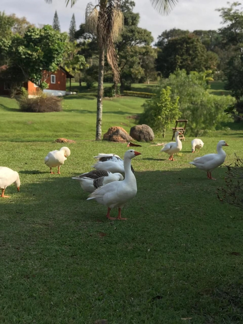 Polo Hotel Fazenda
