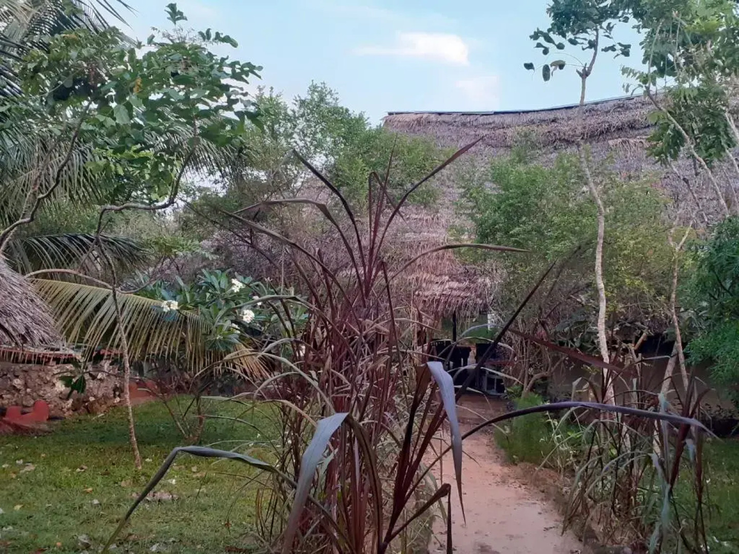 Gecko Nature Lodge & Swahili Divers