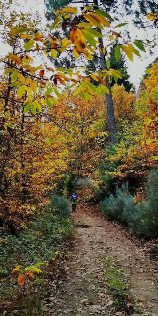 Rustic Terrace2 Bedrooms Farm House