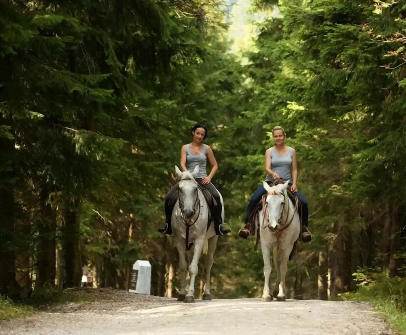 ProFamily TOP Benecko