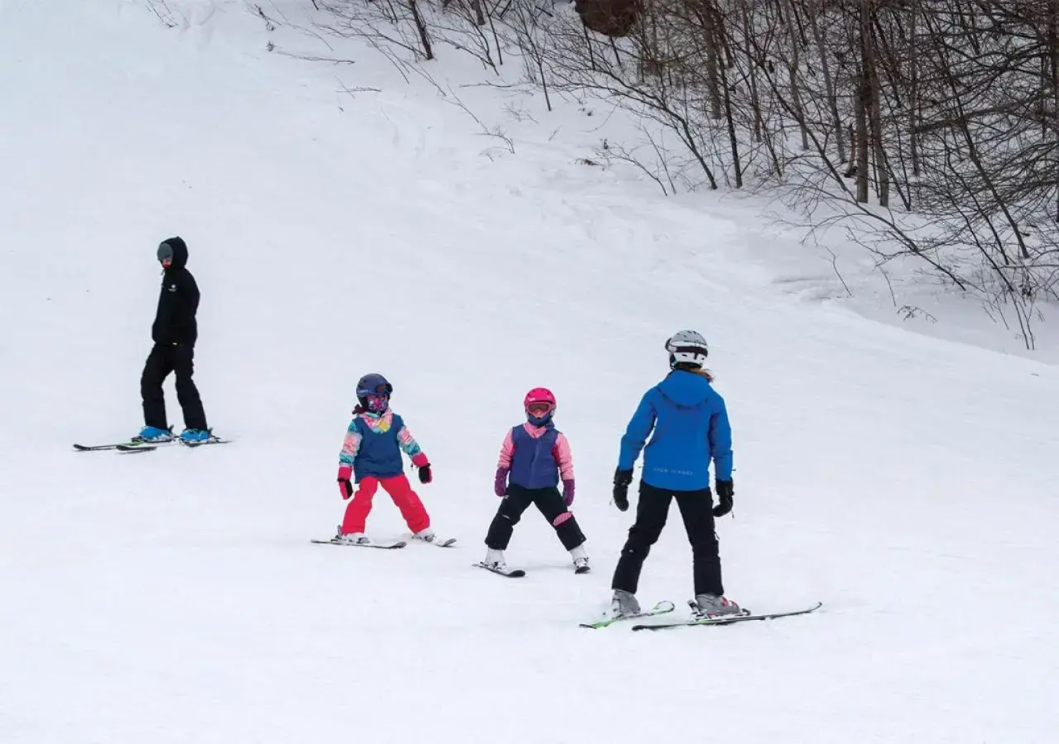 Hockley Valley Resort