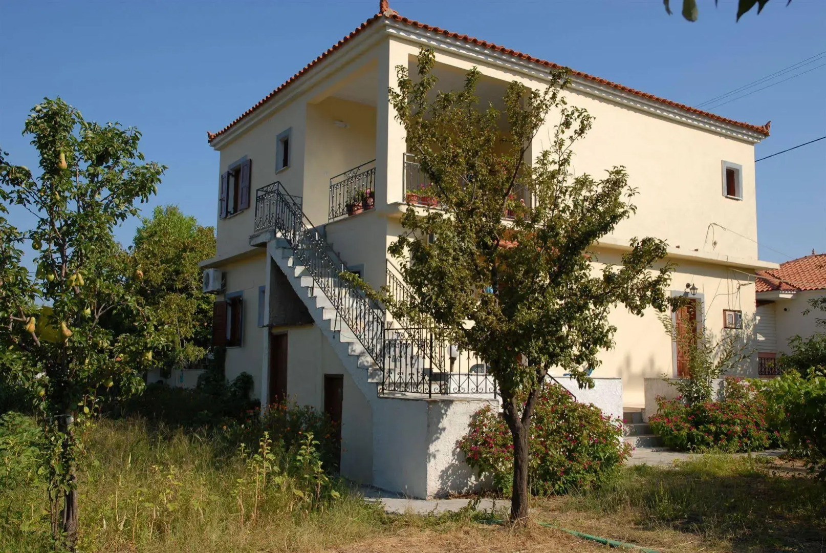 Vassilis Studios