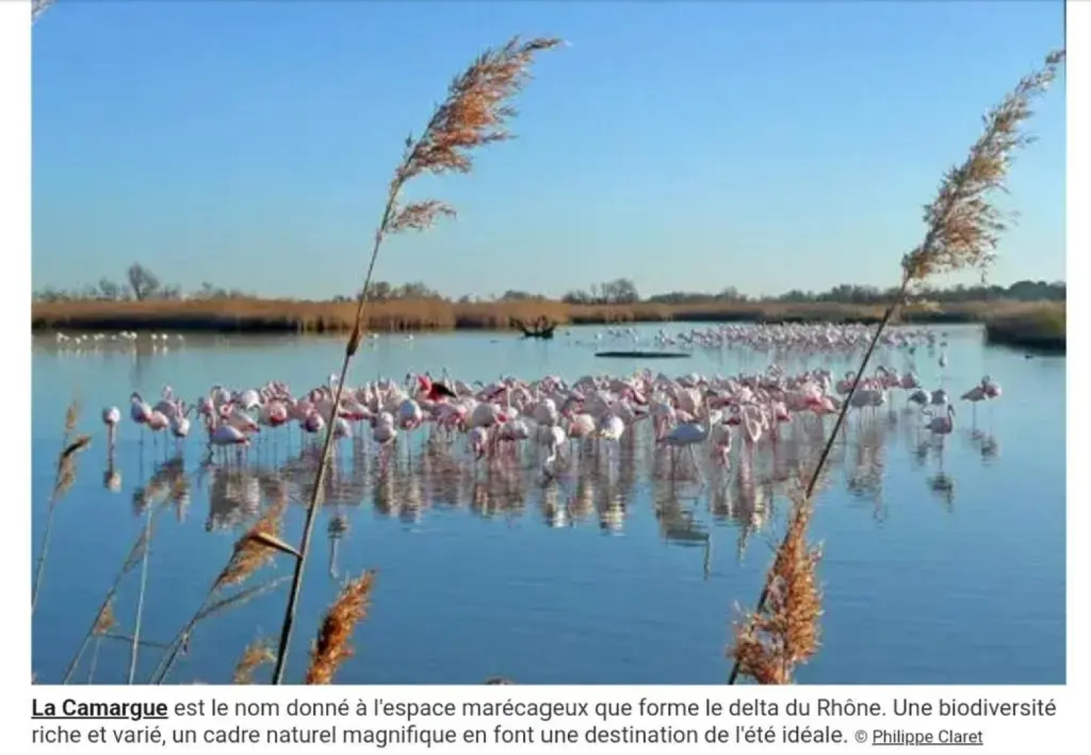 Appartement dans Mas Provencal