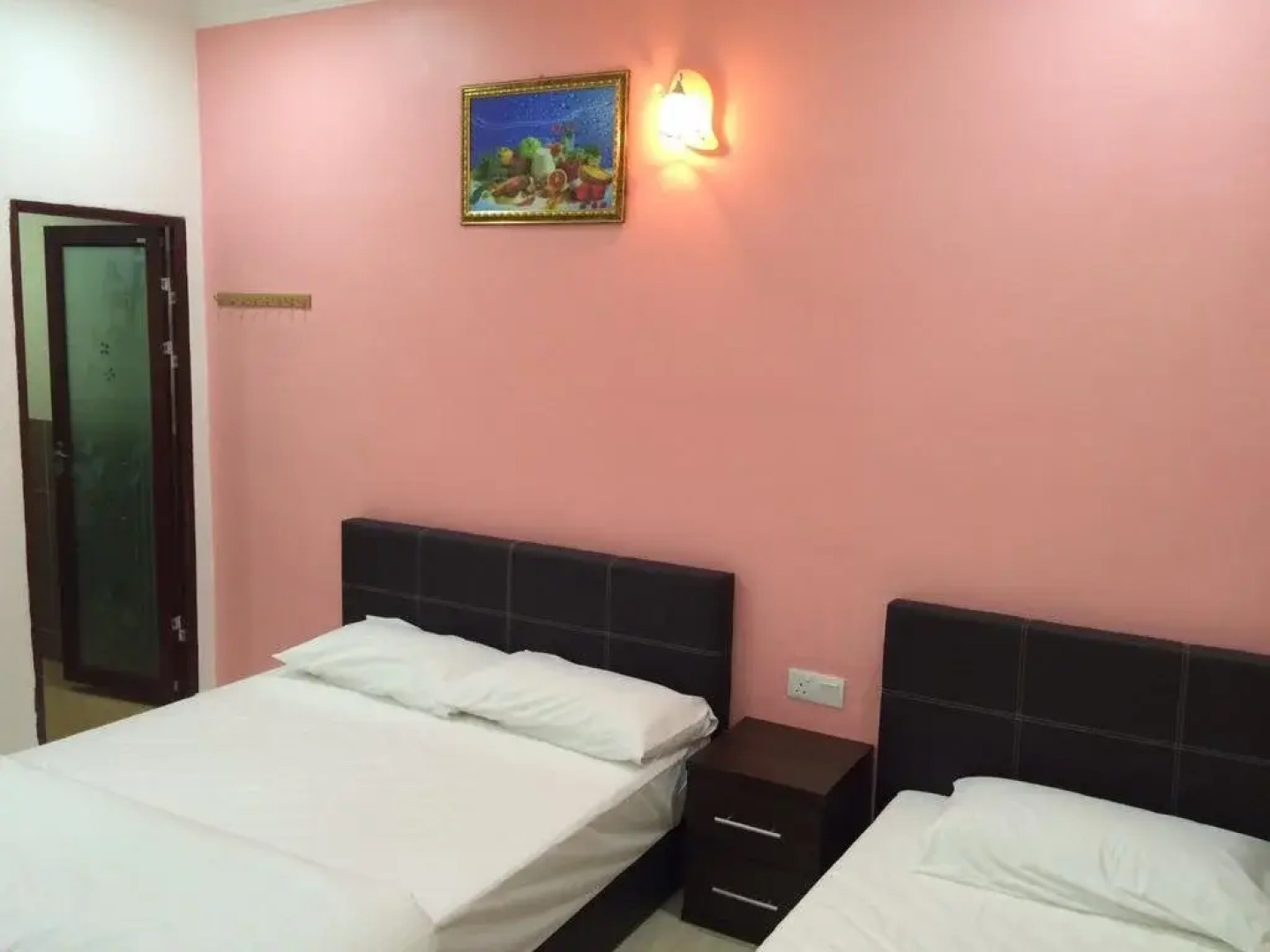 Lazy Bear Sleeping Place