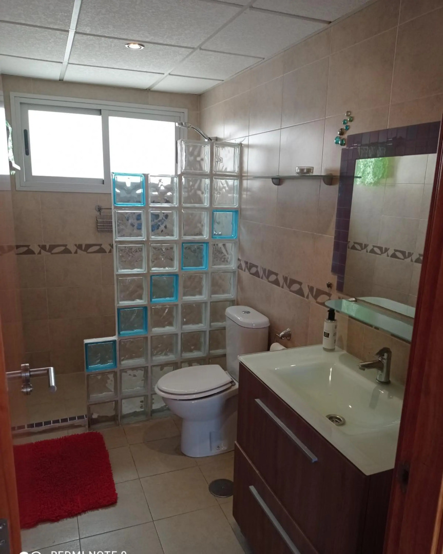 Disfruta Granada,incluso con tu mascota Parking