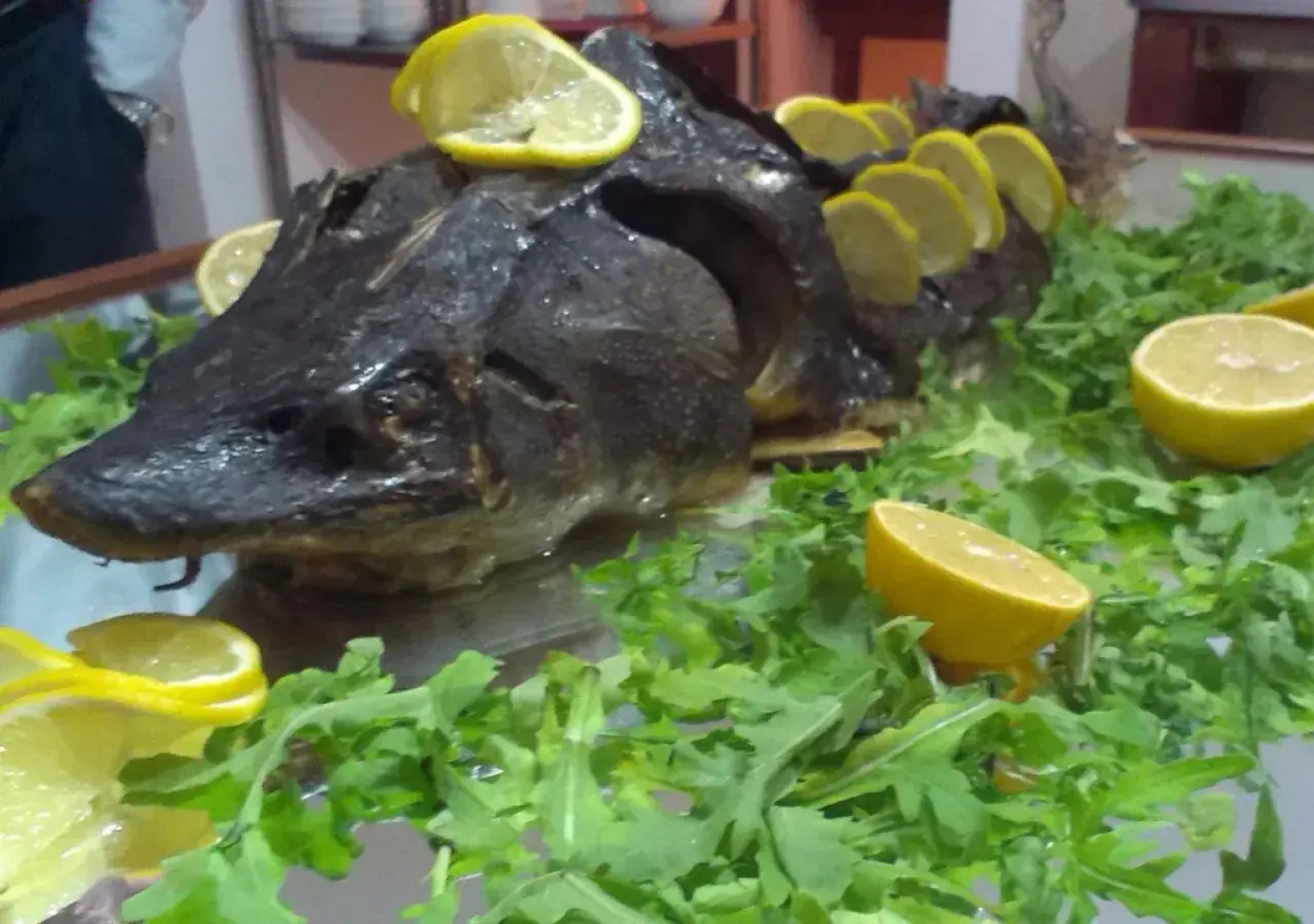 Danube Delta Resort 4****