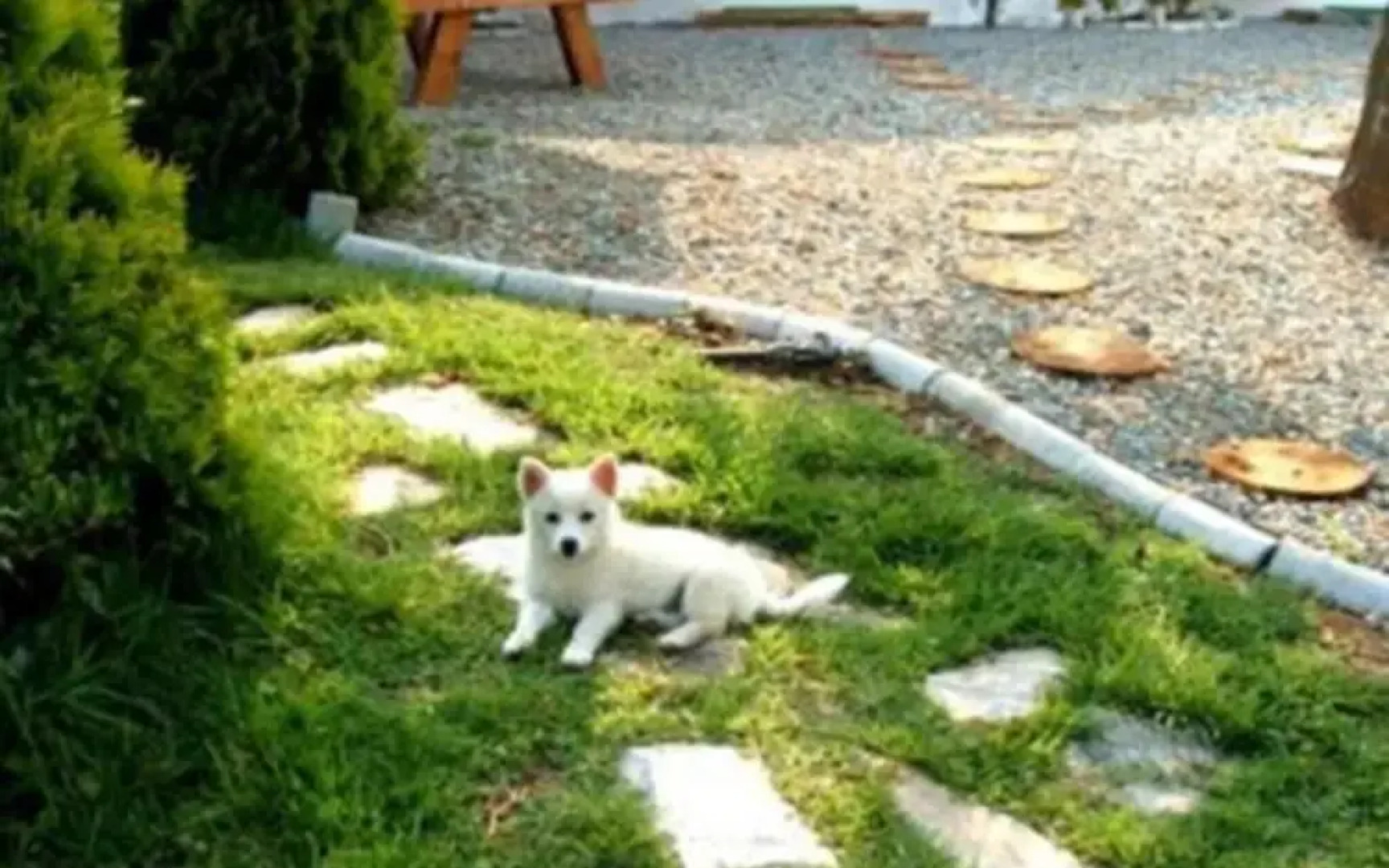 Tongyeong Morning Dew Pension