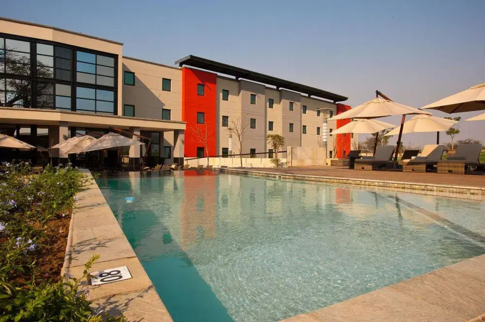 The VIP Executive Baobab