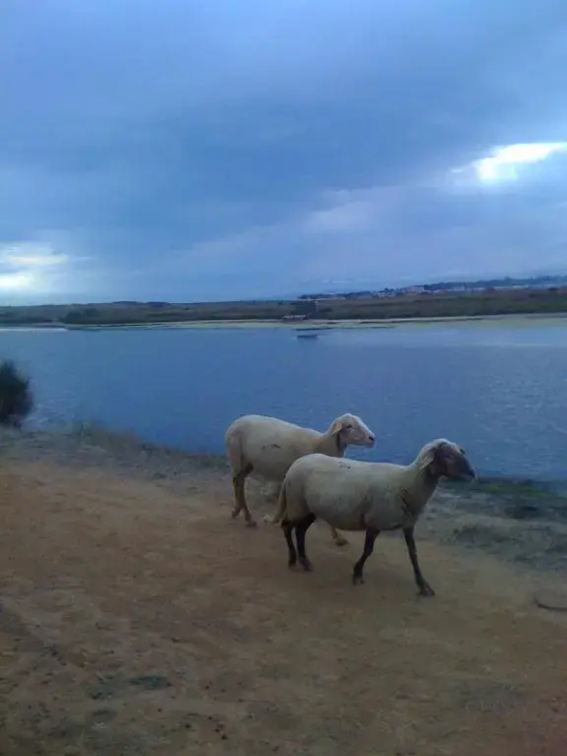 Villa Ecluses Mediterranee