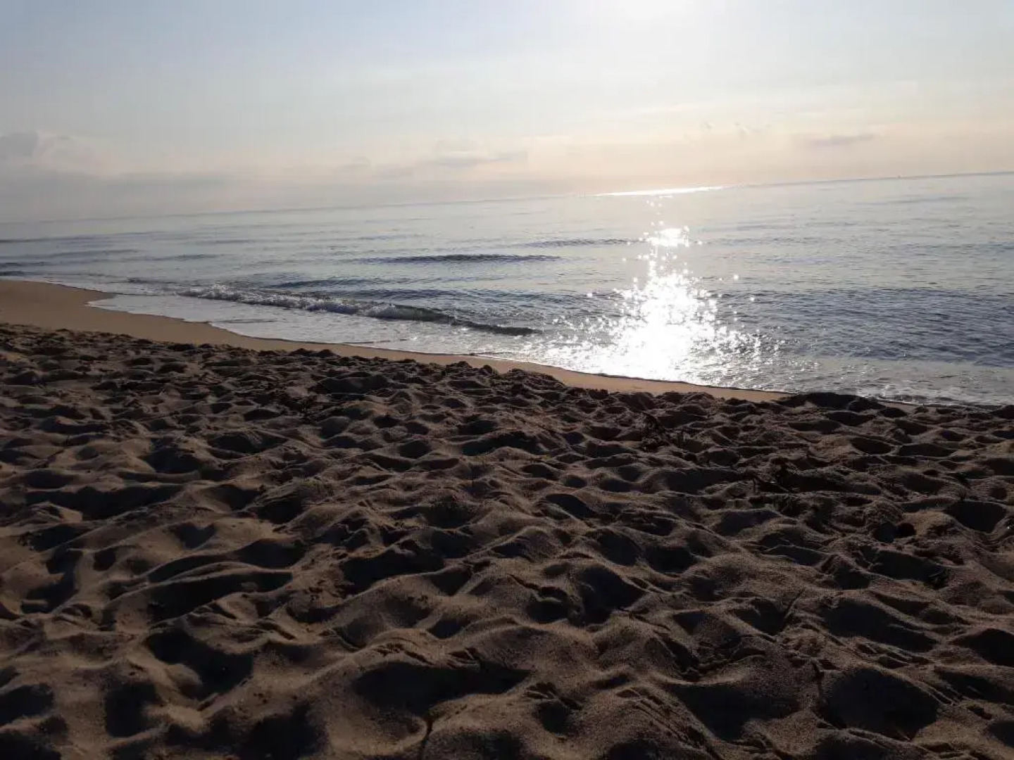 f3 vue mer et montagne