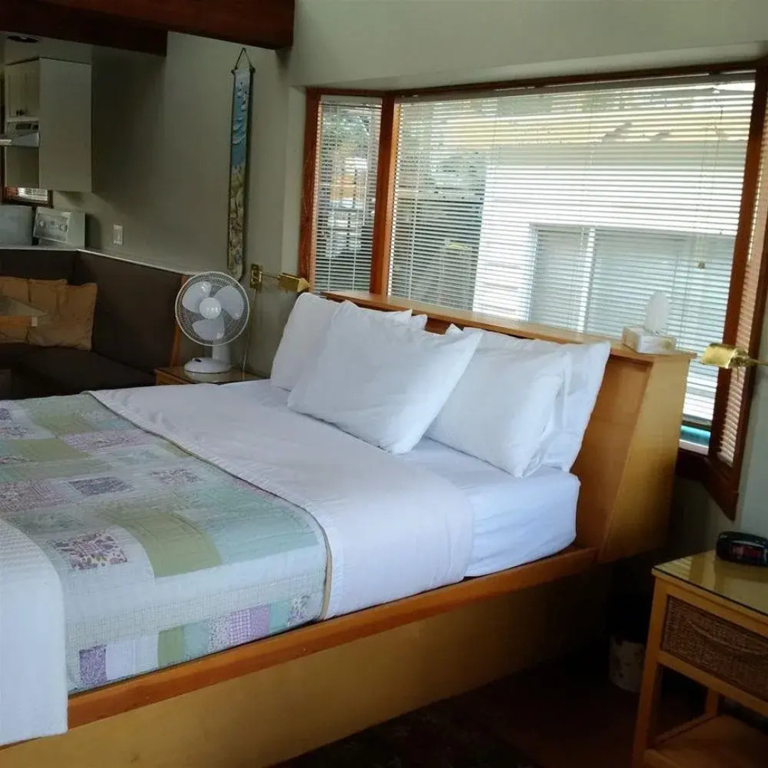 Pink Dishrack Floating Cottage